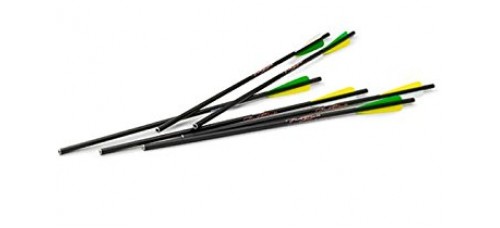 Excalibur Firebolt 20" Carbon Arrows 6 Pack